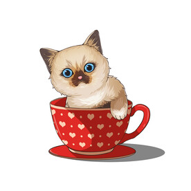 茶杯猫            