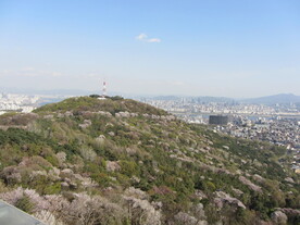 韩国风景