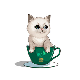 茶杯猫            