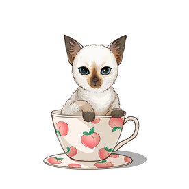 茶杯猫            