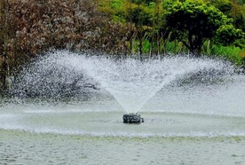 湖心喷水图