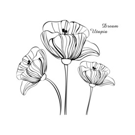 郁金香插画