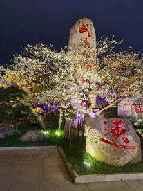 武汉东湖樱花园