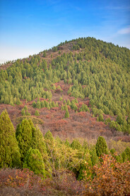 山06