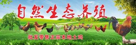 生态养殖
