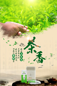 茶叶茶香春茶上市海报设计