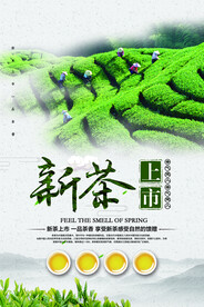 创意中国风新茶上市春茶上市宣传