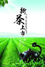 简洁春茶上市新茶上市海报