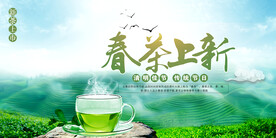 清新绿色春茶上市海报展板
