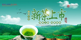 清新绿色春茶上市新茶海报