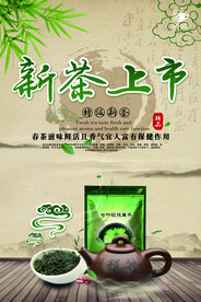 新茶特品新茶饮品茶道春茶上市海