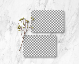 名片卡片样机实物展示效果图