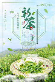 小清新明前春茶上市茶文化海报