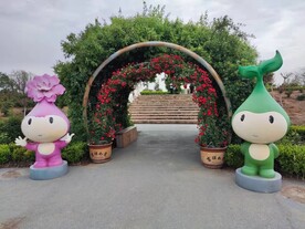 泰安花海绿植拱门