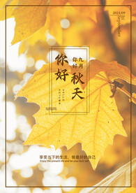 秋天节气海报