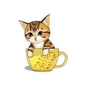 茶杯猫            