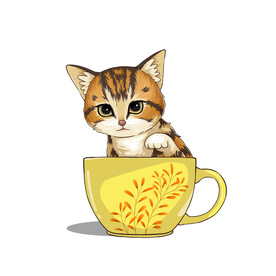 茶杯猫            