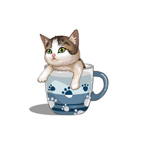 茶杯猫            