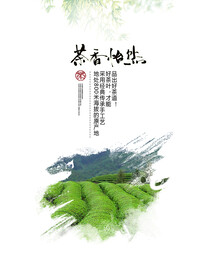 简洁茶香怡然茶叶春茶上市海报