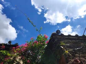 墙上的天空