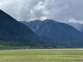 林芝峡谷风景