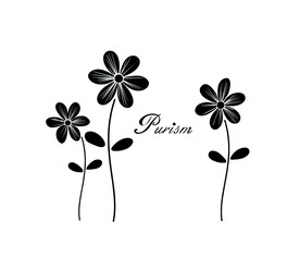 邹菊插画