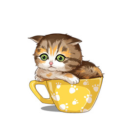 茶杯猫            