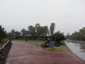 风景背景图