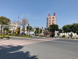 马路风