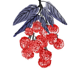 荔枝插画
