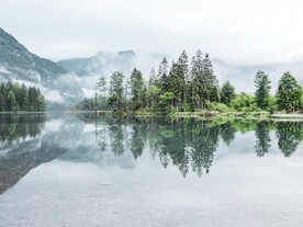 映