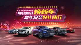 元旦跨年汽车团购会