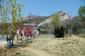 启母阙景区