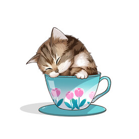 茶杯猫            