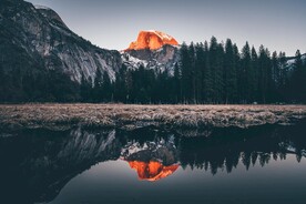 户外暗调森林湖面景观