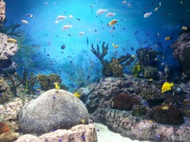海底