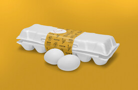 鸡排炸鸡快餐店品牌样机