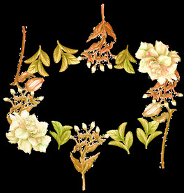 茉莉花插画海报图片 