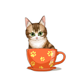 茶杯猫            