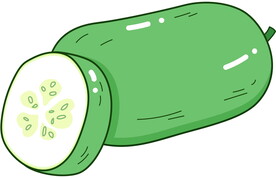 卡通手绘蔬菜瓜果冬瓜线条插画矢