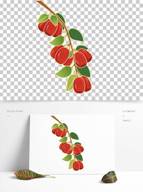 红枣手绘插画AI