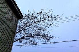 一角