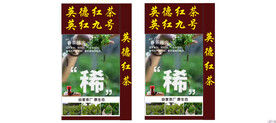 英德红茶英红9号