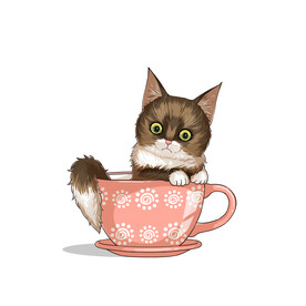 茶杯猫            