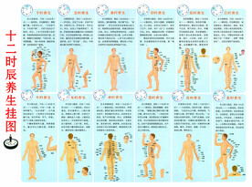 十二时辰养生挂图