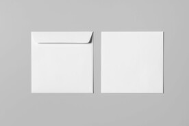 企业商务名片信封VIS