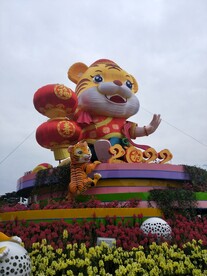 小老虎