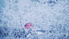 雪景摄影