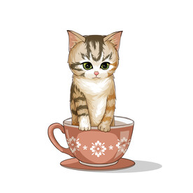 茶杯猫            