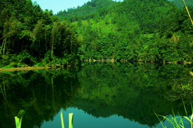 修河山水